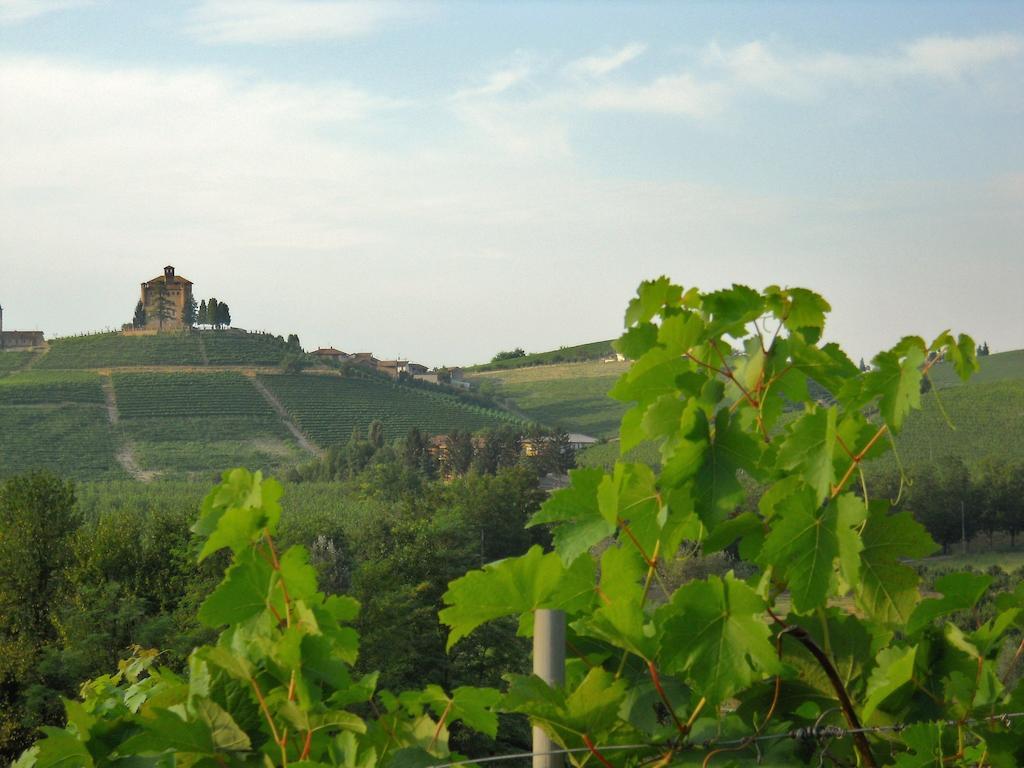 Tenuta Calabiana Діано-д'Альба Номер фото